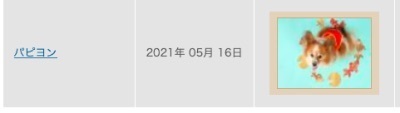 スクリーンショット 2020-06-17 17.57.49re.jpg