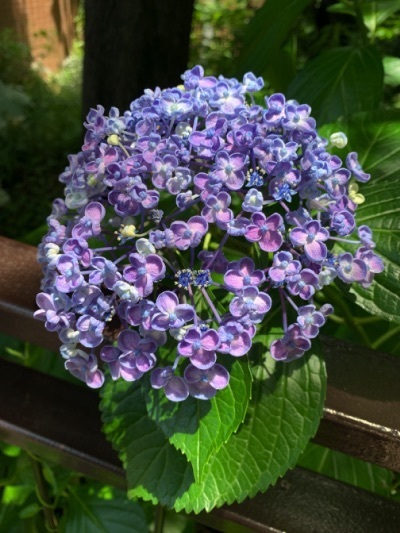 IMG_1498re.jpg
