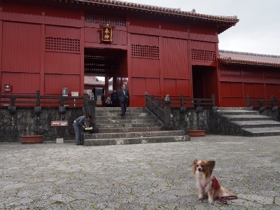 P1211667re.jpg
